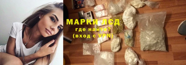 a pvp Аркадак